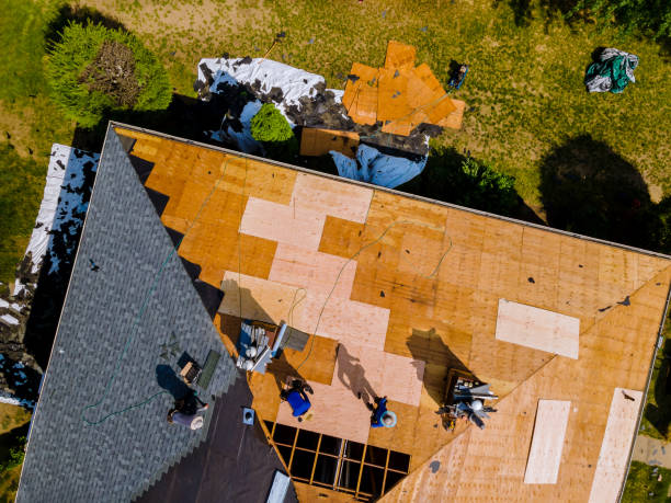 Roof Waterproofing Services in Yerington, NV